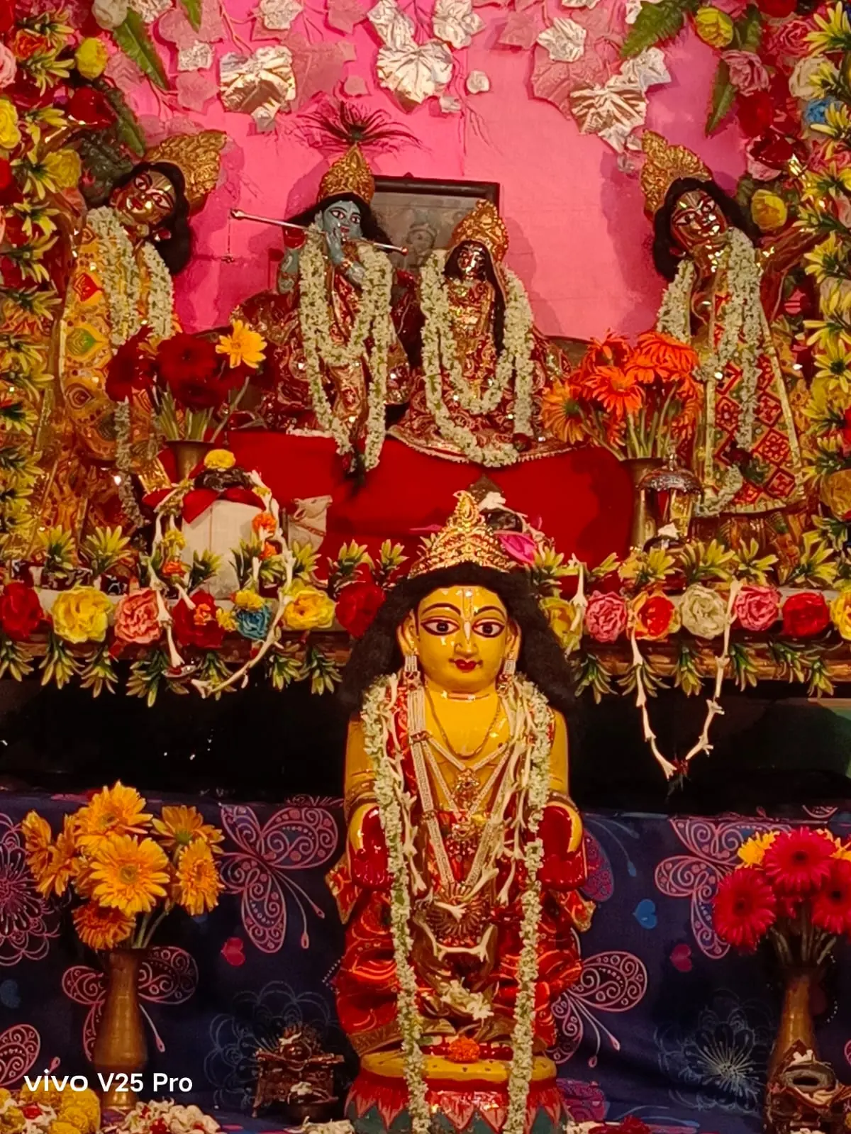 SinghaBahini Gallery Image 30