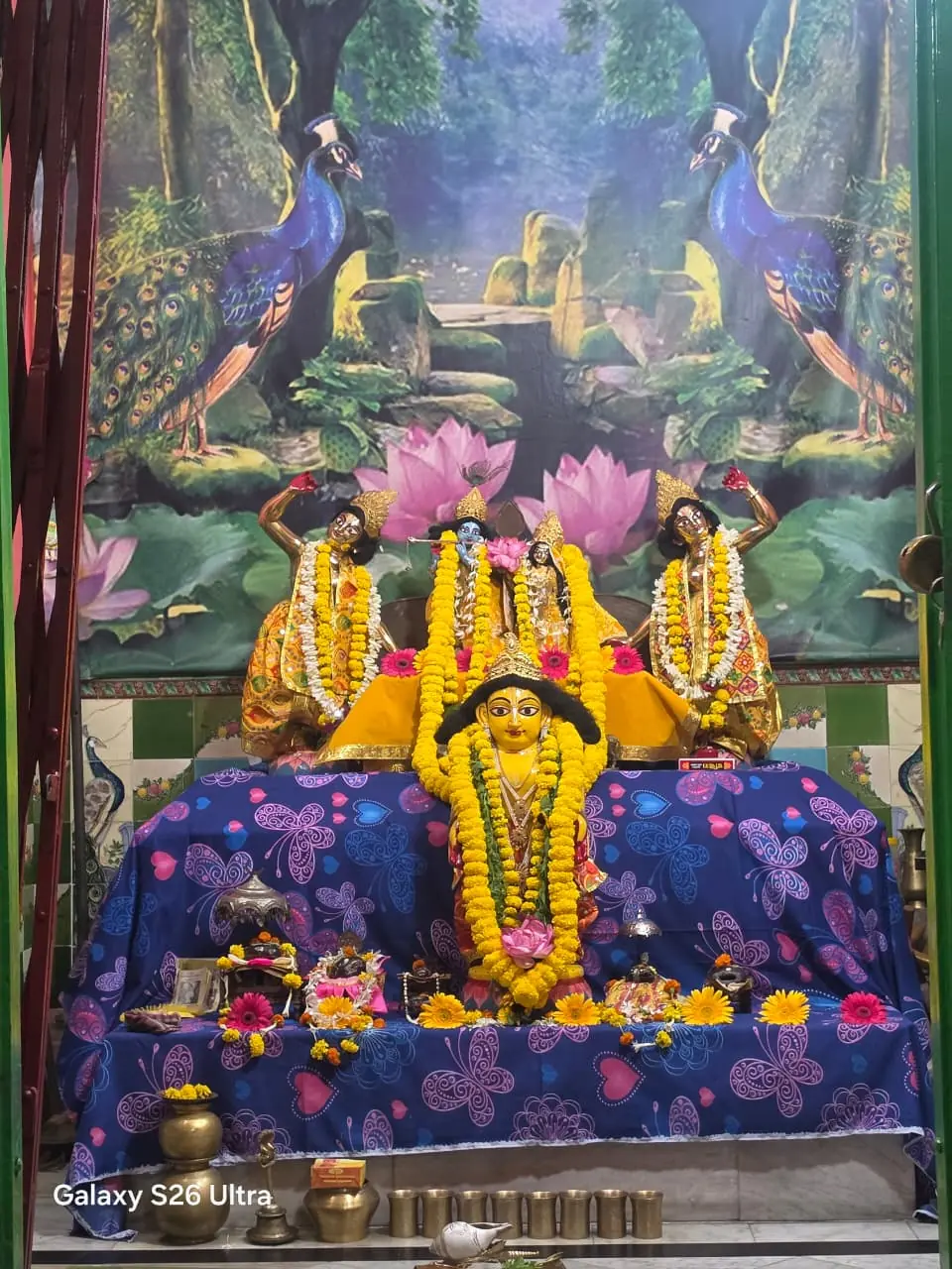 SinghaBahini Gallery Image 29